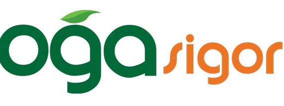 Doğa Sigorta: Ödemeler rutin işleyişinde devam ediyor