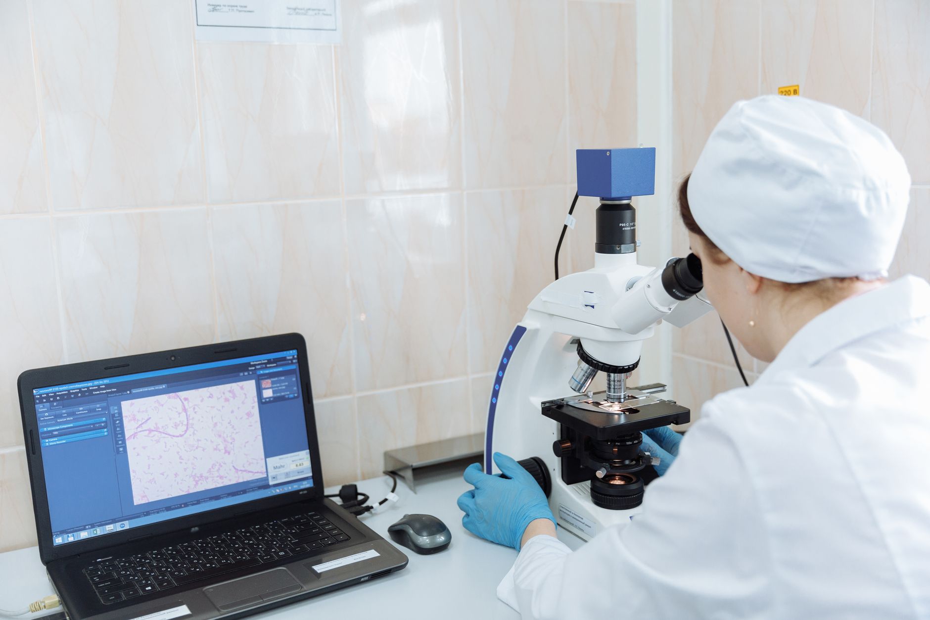 Miyelinizasyon Sürecinde Gephyrin Proteininin Rolü Açıklandı